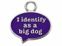 I identify Charm