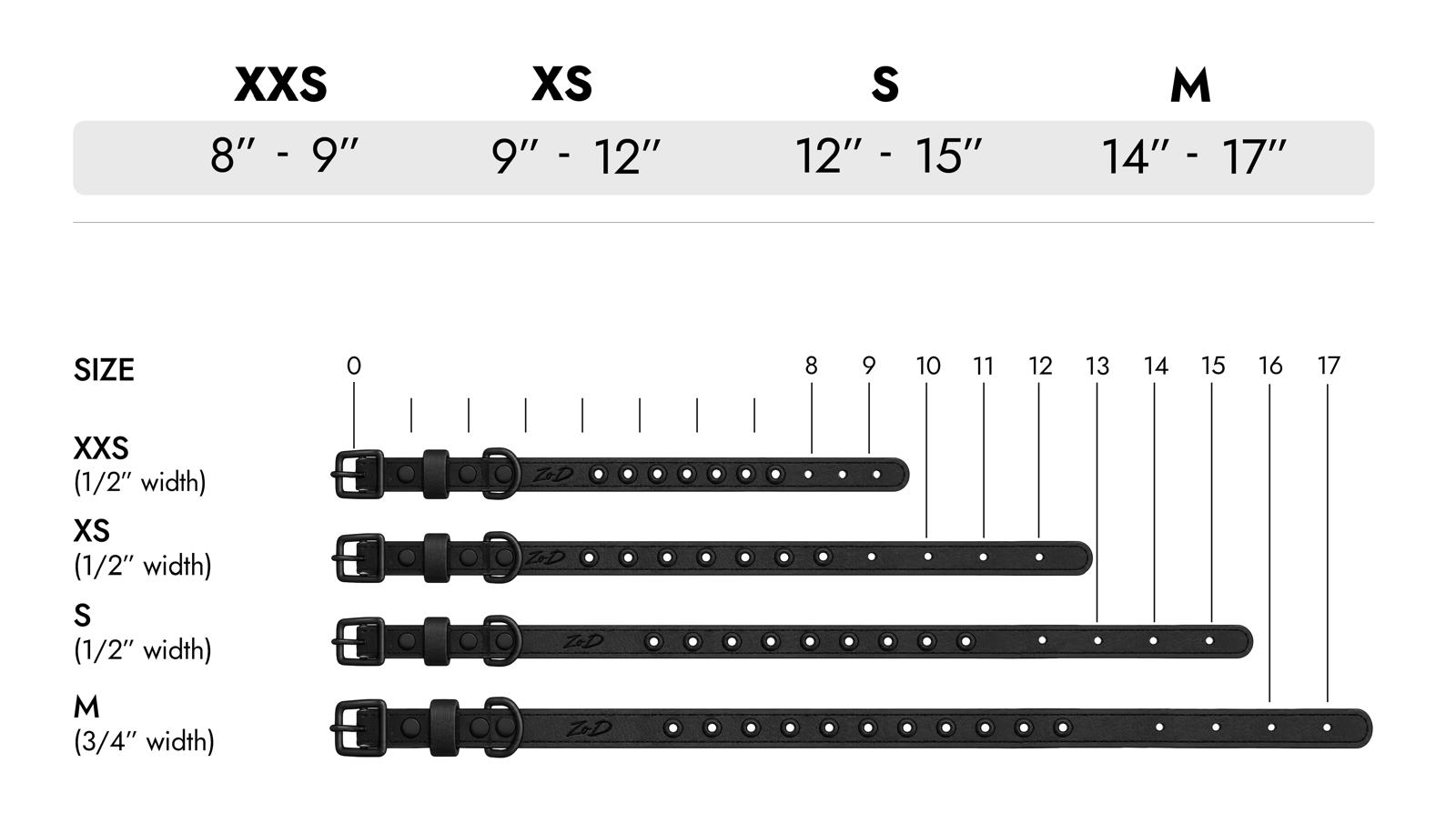 Medium Collar and 10 Charms Bundle