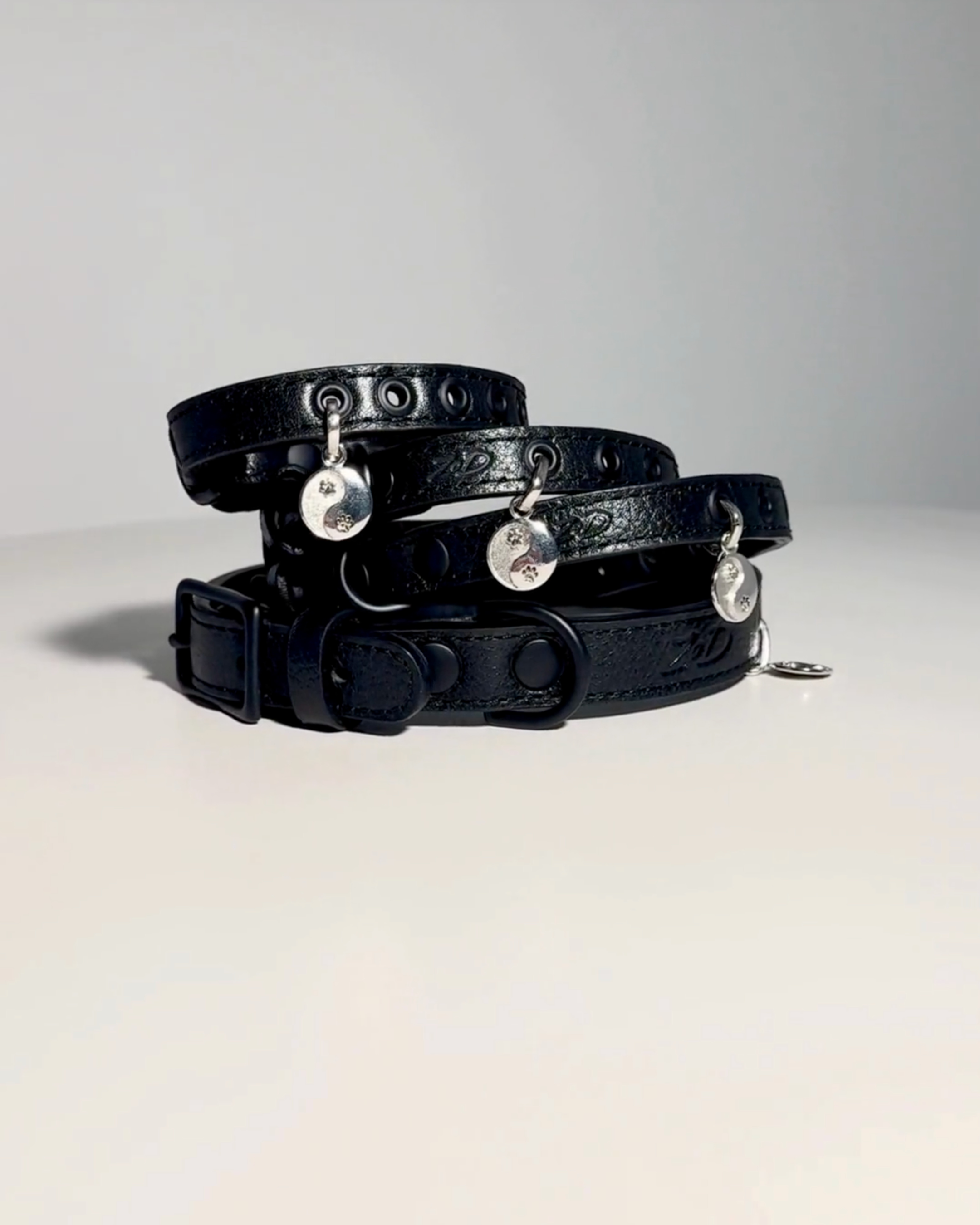 Extra Small Collar and 6 Charms Bundle