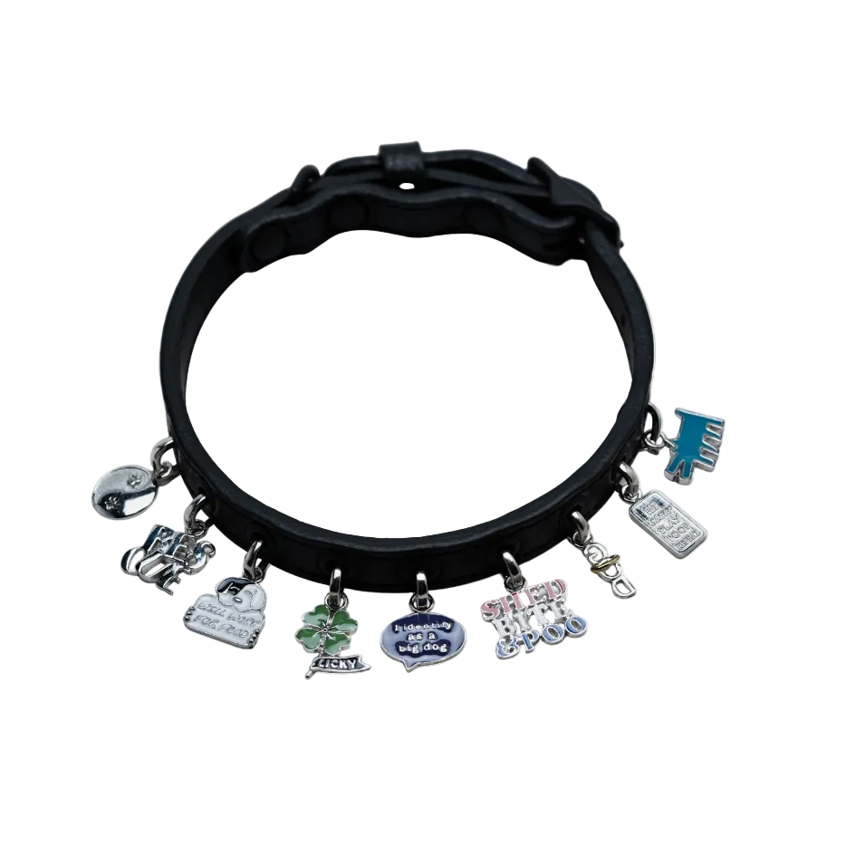 Black leather bracelet with various charms on a white background