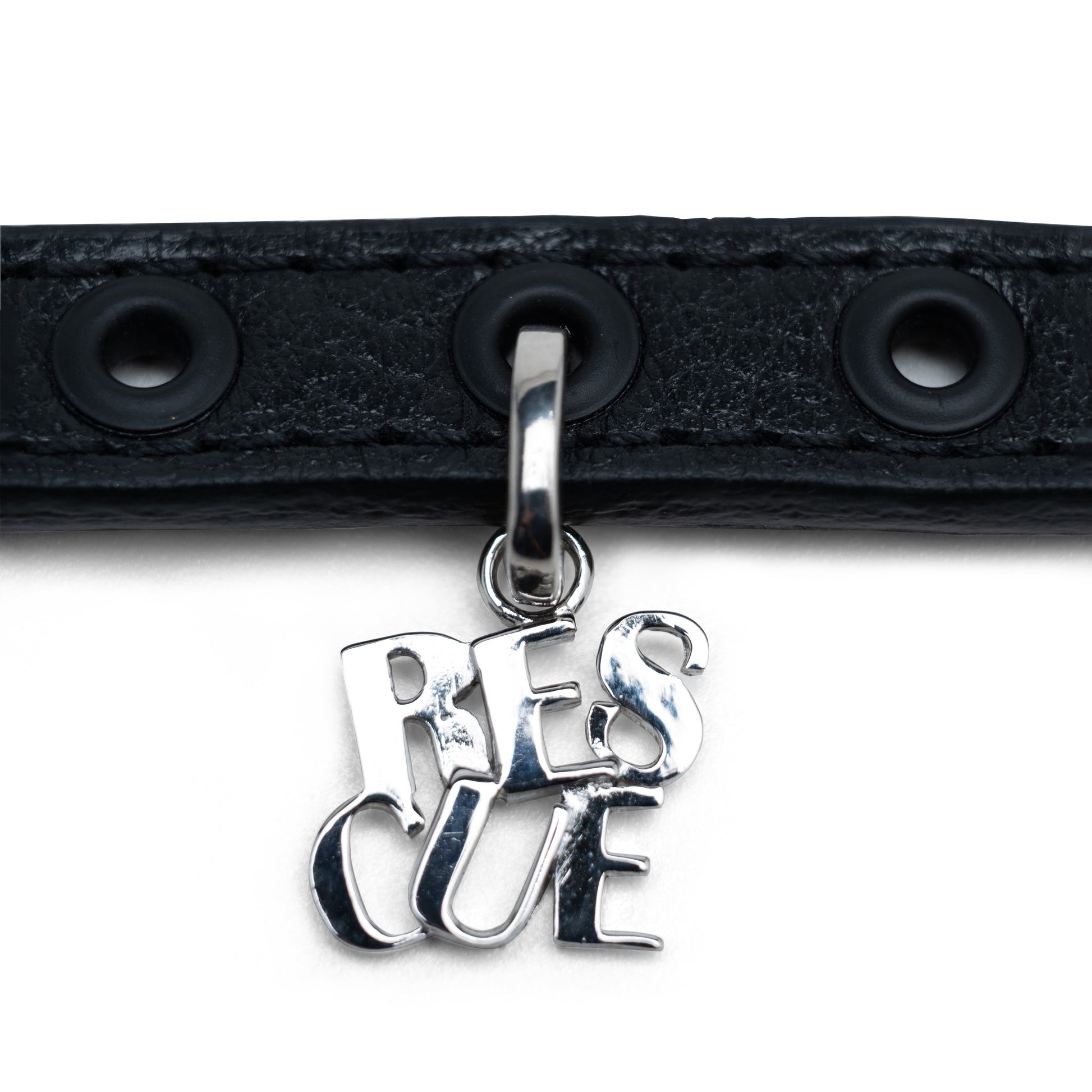 Zen of Dog Charm