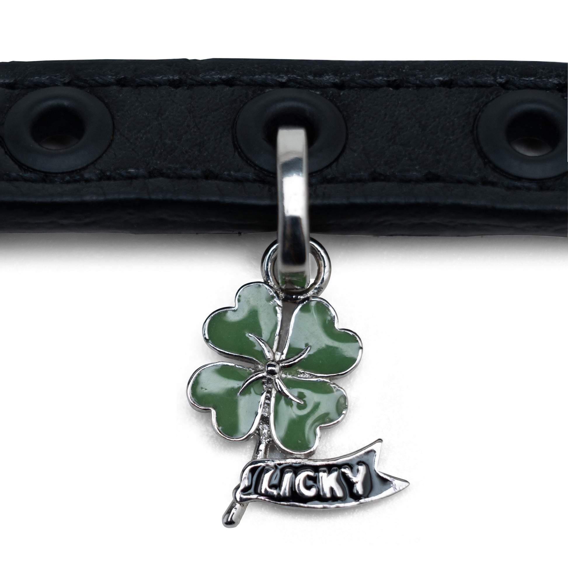 Zen of Dog Charm