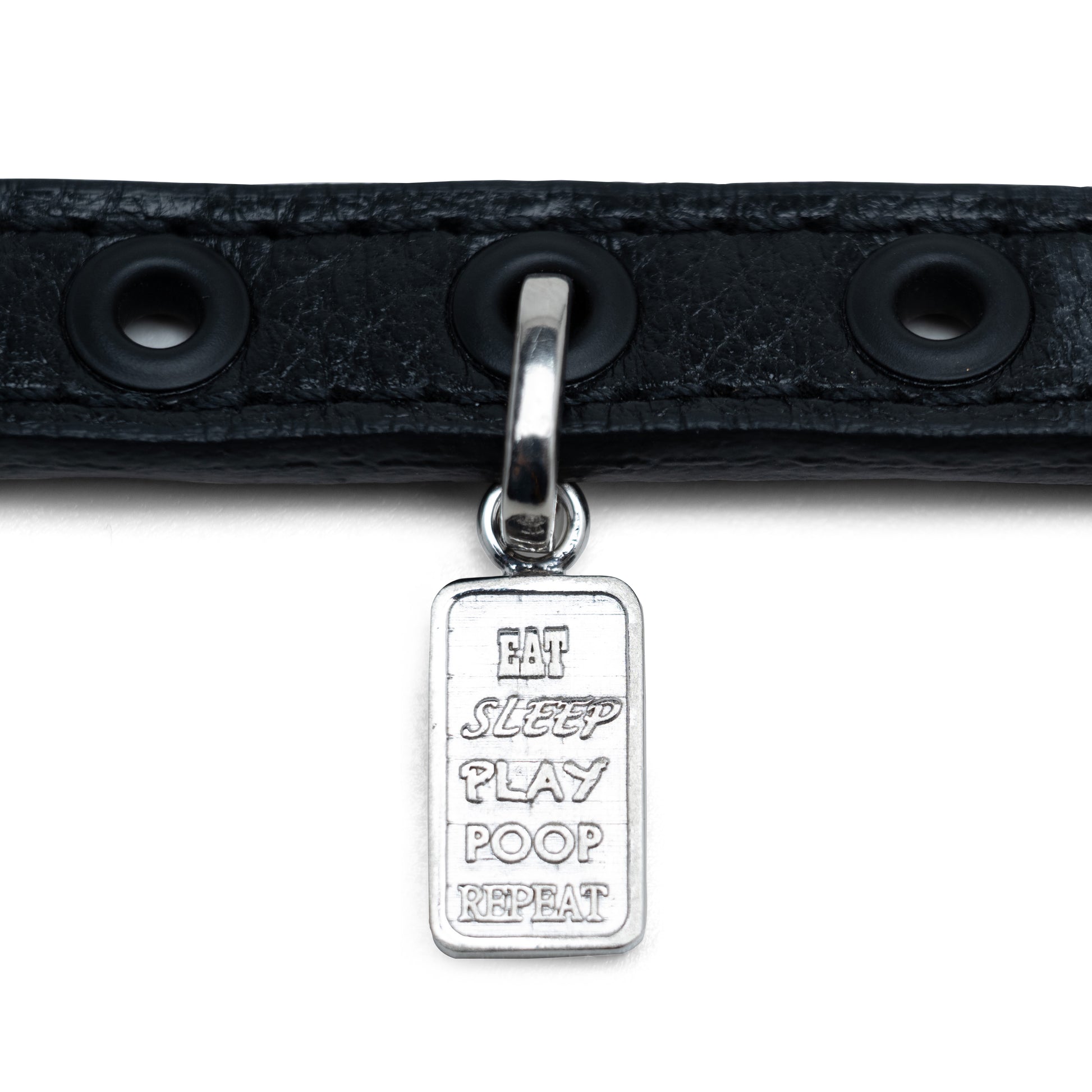 Zen of Dog Charm