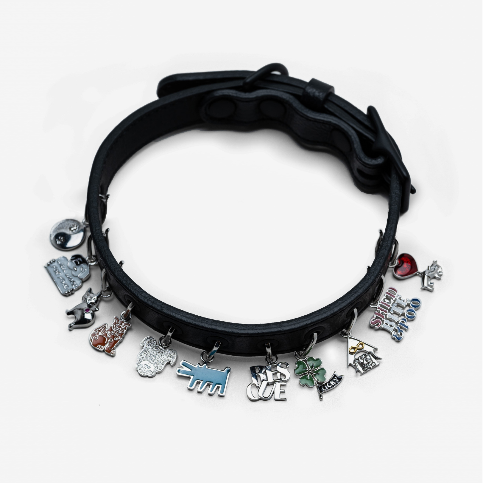 Medium Collar and 10 Charms Bundle