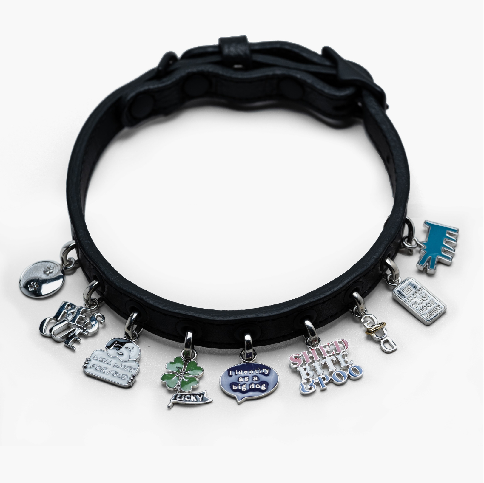 Small Collar and 8 Charms Bundle