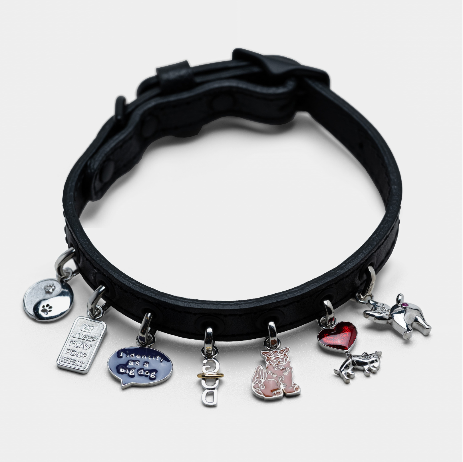 Extra Small Collar and 6 Charms Bundle