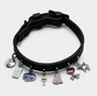 XS Collar and 6 Charms Bundle