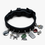 XXS Collar and 4 Charms Bundle