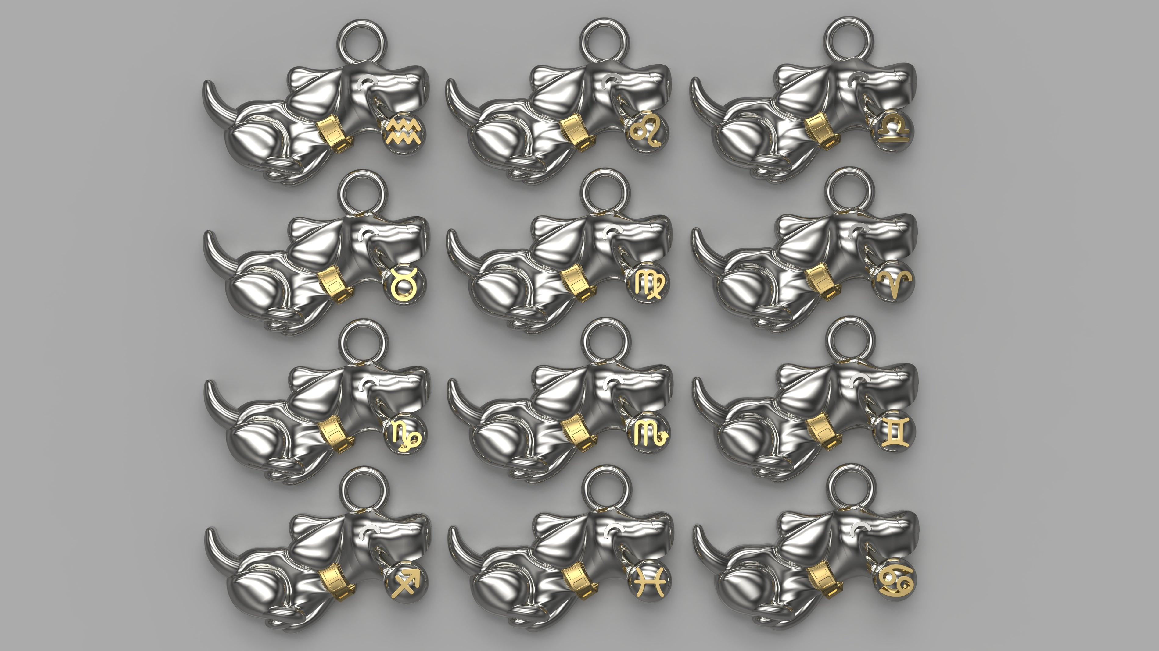 Zodiac Charm