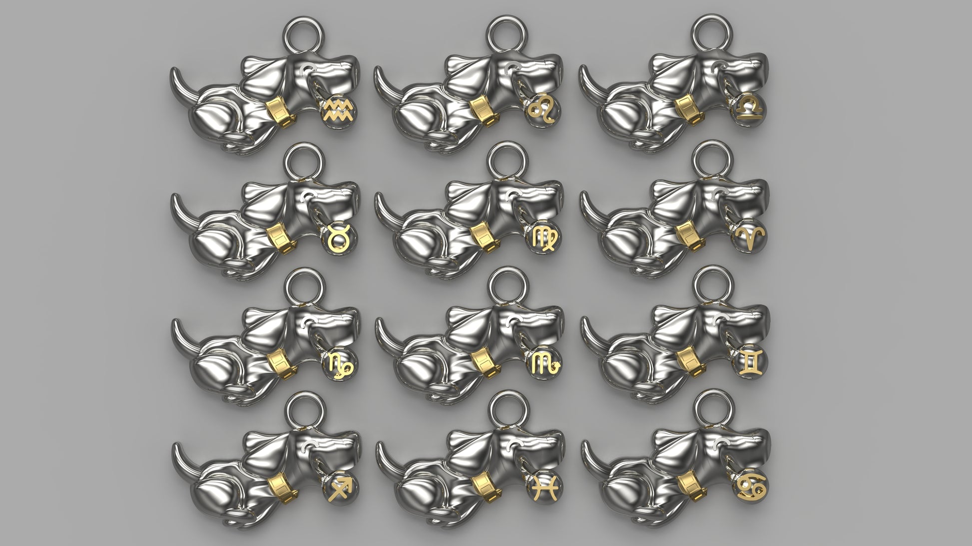 Zodiac Charm